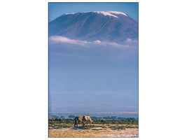 canvas-print-kilimanjaro-and-the-quiet-sentinels