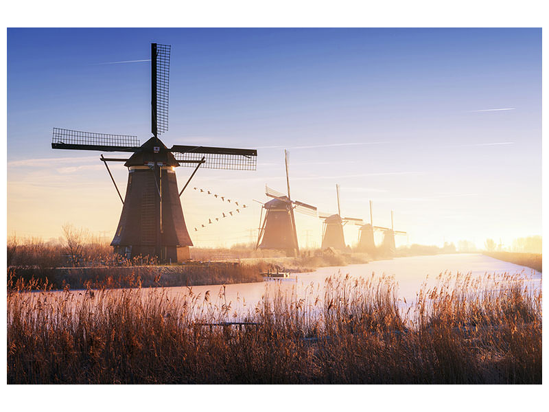 canvas-print-kinderdijk-iv