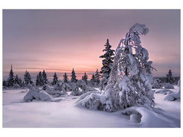 canvas-print-lappland-winterwonderland-x