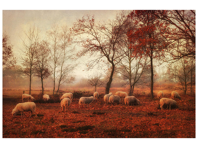 canvas-print-last-days-of-autumn