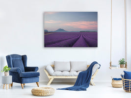 canvas-print-lavender-field