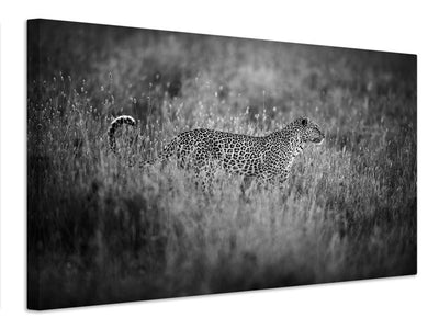canvas-print-leopard-s-mood-x