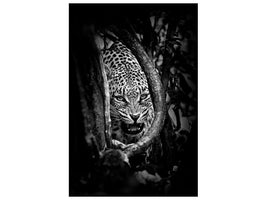 canvas-print-leopards-lair