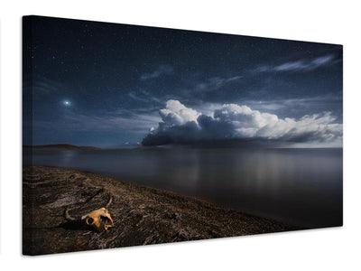 canvas-print-life-after-death-x
