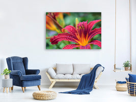 canvas-print-lily-flower-in-pink-xl