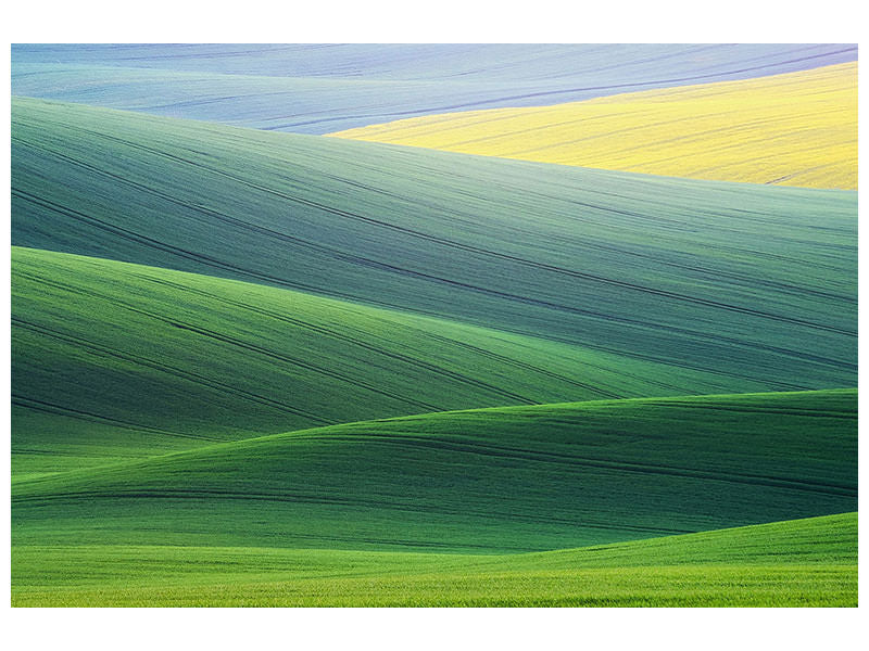 canvas-print-lines