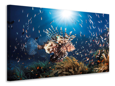 canvas-print-lionfish