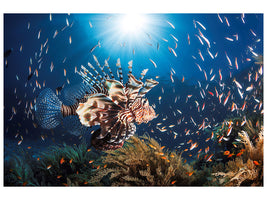 canvas-print-lionfish