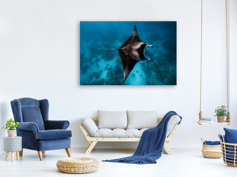 canvas-print-manta-fly