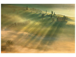 canvas-print-mist-x