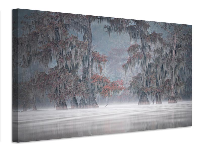 canvas-print-misty-bayou-x