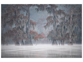 canvas-print-misty-bayou-x