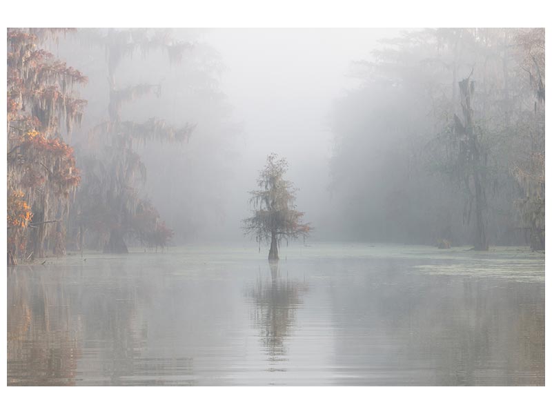 canvas-print-misty-bayou-xkt