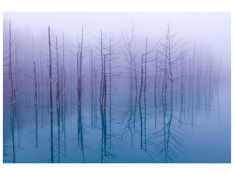 canvas-print-misty-blue-pond