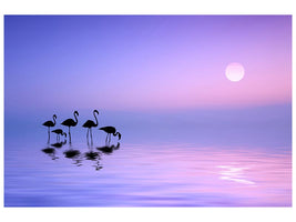 canvas-print-morning-flamingo-x