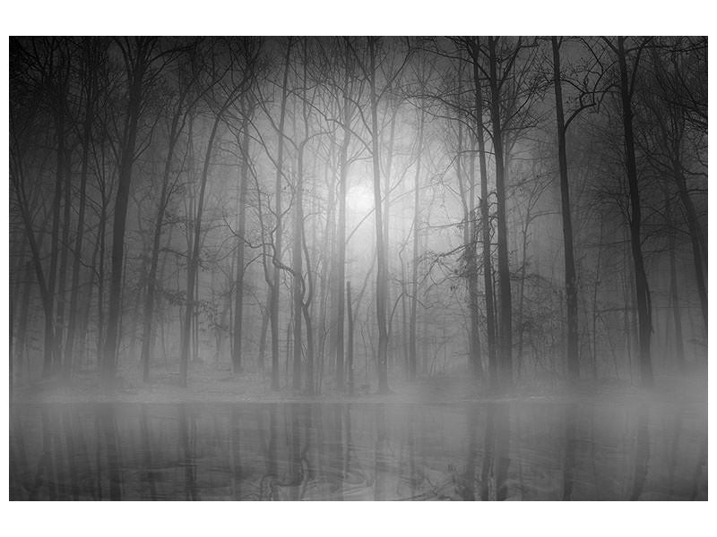 canvas-print-morning-mist-ii