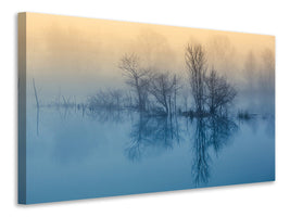 canvas-print-morning-reflection-ii