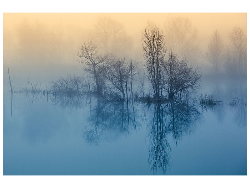 canvas-print-morning-reflection-ii