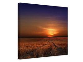 canvas-print-morning-x