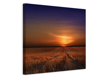 canvas-print-morning-x