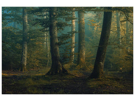 canvas-print-october-colors-x