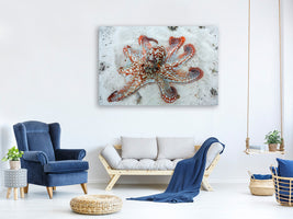 canvas-print-octopus-a