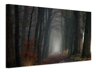 canvas-print-oh-so-moody-x