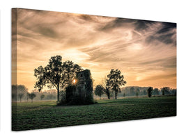 canvas-print-old-abandoned-house-covered-by-vegetation-at-sunset-x