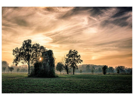 canvas-print-old-abandoned-house-covered-by-vegetation-at-sunset-x