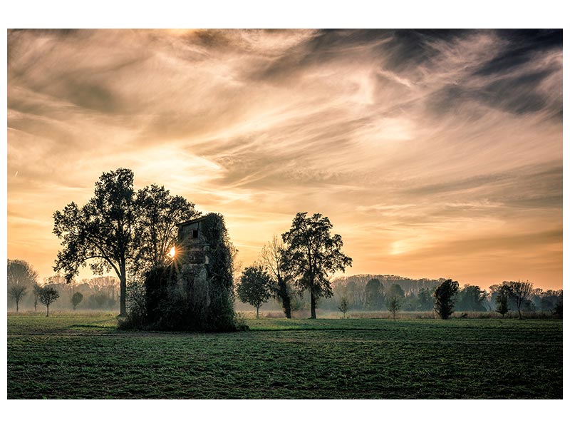 canvas-print-old-abandoned-house-covered-by-vegetation-at-sunset-x