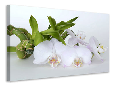 canvas-print-orchid-and-bamboo