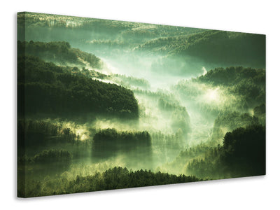 canvas-print-over-the-woods