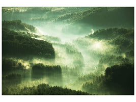 canvas-print-over-the-woods