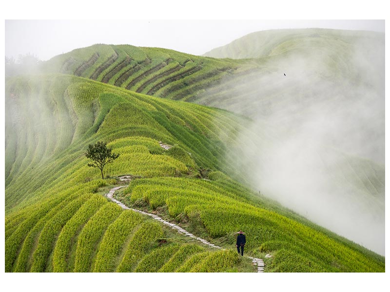 canvas-print-pingan-rice-terraces-x