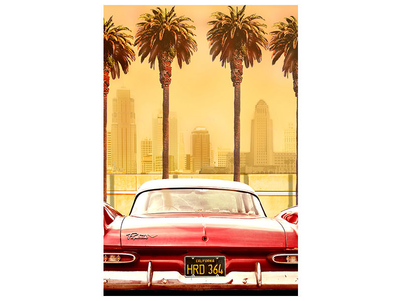 canvas-print-plymouth-savoy-with-palms