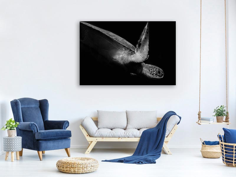 canvas-print-portrait-of-a-sea-turtle-in-black-and-white-ii-x