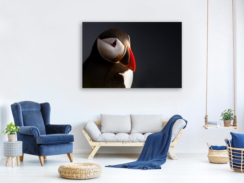 canvas-print-puffin-portrait-x