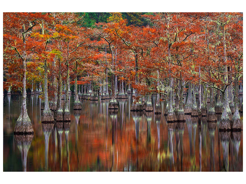 canvas-print-quiet-cove