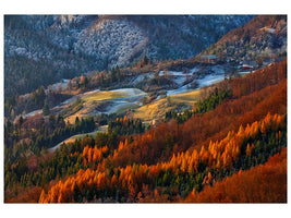 canvas-print-red-tree-line-x