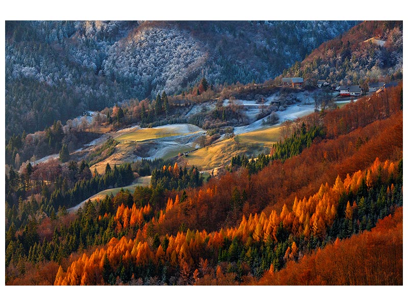 canvas-print-red-tree-line-x