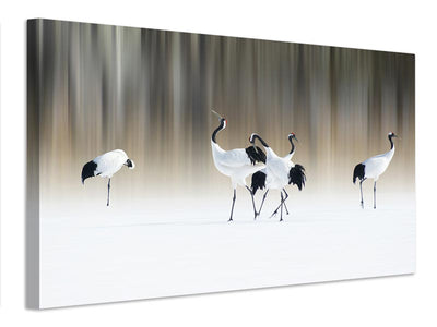 canvas-print-redcrested-white-cranes-x