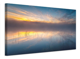 canvas-print-reeds-x