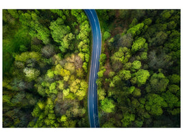 canvas-print-road-in-the-forest-x