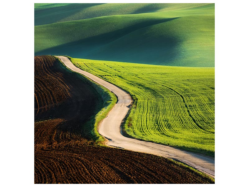 canvas-print-road-x