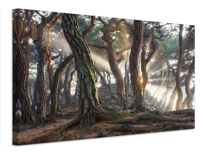 canvas-print-sacred-pine-trees-x