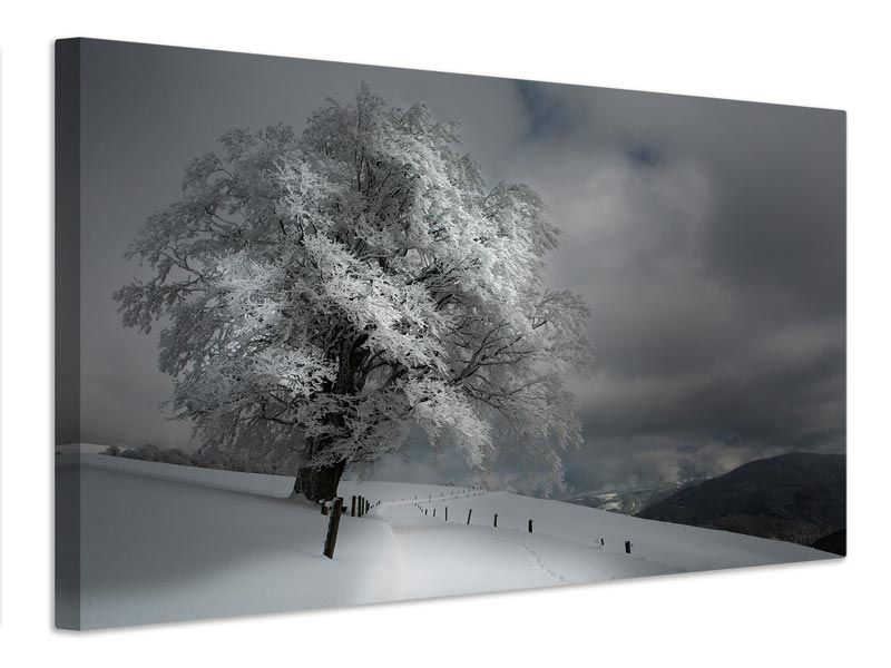 canvas-print-schneeweg-x