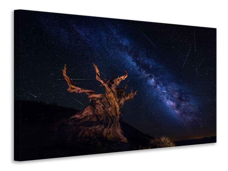 canvas-print-shooting-stars-night