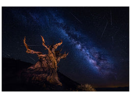 canvas-print-shooting-stars-night