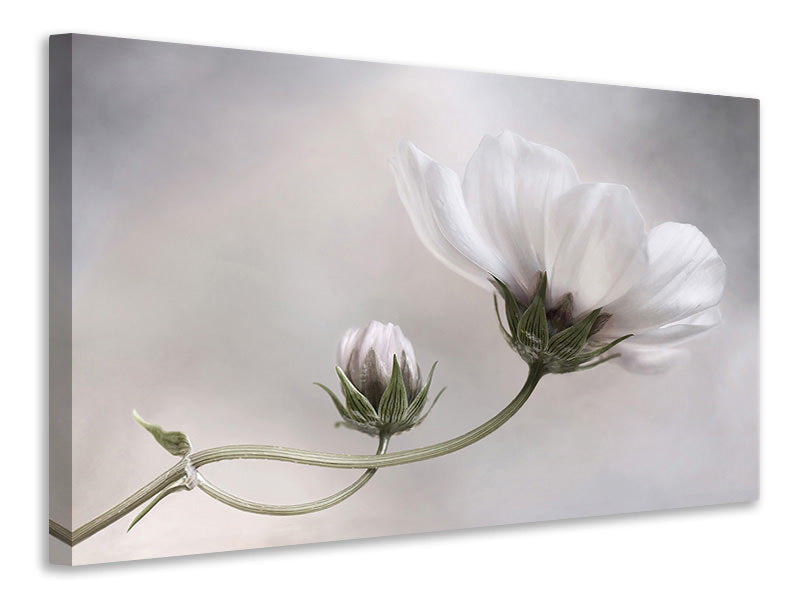 canvas-print-simply-cosmos