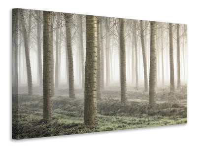 canvas-print-small-woodland